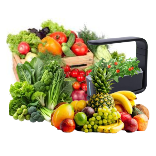 Fruits , Vegetables & Meat Corner